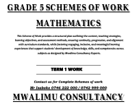 GRADE 5 MATHS SOW T1 SP LH.pdf